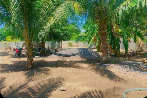 a hammock between two palm trees on a beach at Casa el Marinero in Monterrico