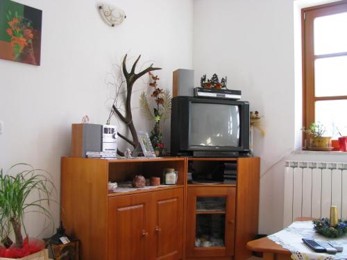 TV a/nebo společenská místnost v ubytování Holiday home Lokovec 31 - Rojčeva domačija