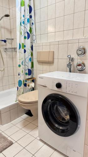 a washing machine in a bathroom with a toilet at ZeitRaum Apartment in Balingen