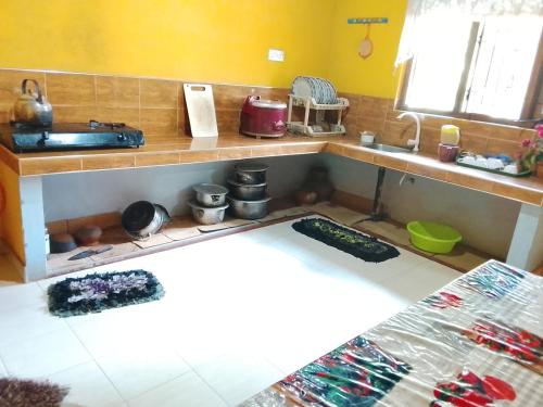 阿努拉德普勒Ranmini Family Resort的带水槽和台面的厨房