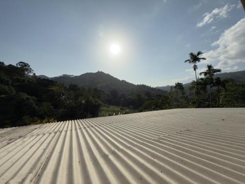 a large white field with a palm tree in the background at CAO Ella in Ella