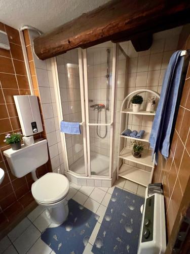 a bathroom with a shower and a toilet at Ferienwohnungen Gisela in Hardegsen in Hardegsen