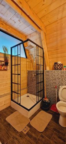 a bathroom with a shower with a toilet in a room at Cabana Aframe Blidari in Blidari