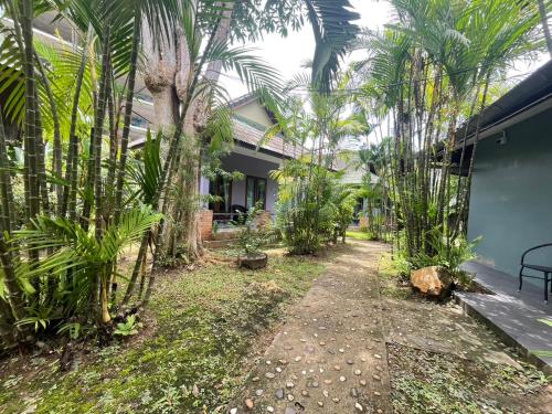 a courtyard of a house with palm trees at Moubillow Resort in Ao Nang Beach