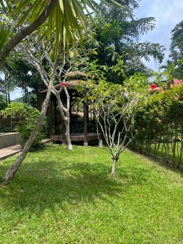 a garden with a small tree in the grass at Moubillow Resort in Ao Nang Beach
