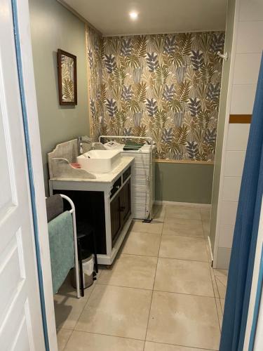 a bathroom with a sink and a mirror and a wall at Studio indépendant en Normandie in Fontaine-la-Soret