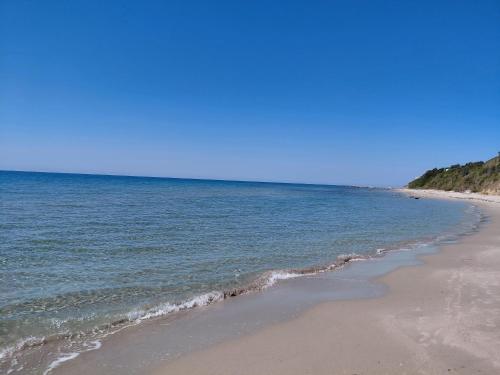 a beach with the ocean and a blue sky at Hotel Lalez Durres in Durrës