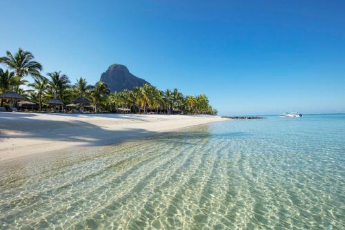 弗利康弗拉克Beautiful one bedroom apartment - Les Lauriers的有棕榈树和大海的沙滩