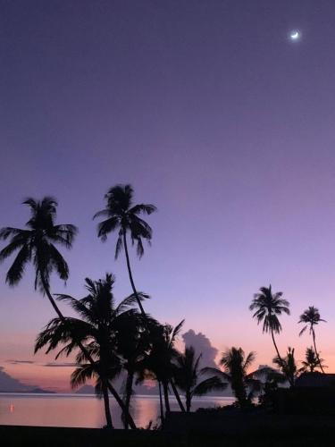 a group of palm trees on the beach at sunset at Serenity Beachfront Bungalow Ko Samui in Amphoe Koh Samui