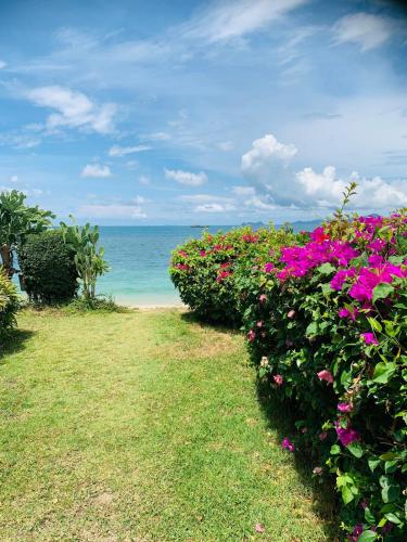 a row of flowers with the ocean in the background at Serenity Beachfront Bungalow Ko Samui in Amphoe Koh Samui