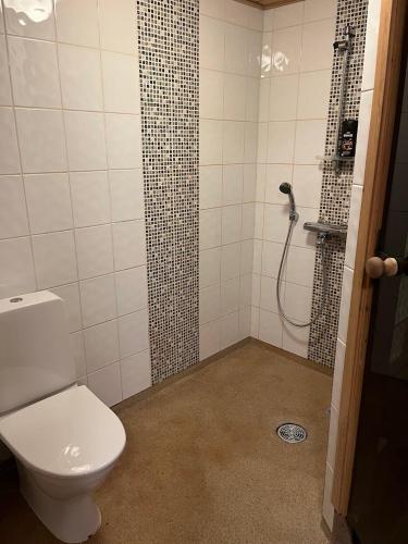 a bathroom with a toilet and a shower at Kärpänrinne A in Syöte