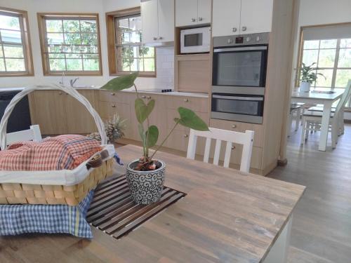 a kitchen with a table with a potted plant on it at Bunya 4 Bedroom at On Burgum Pond Cottages in Maleny