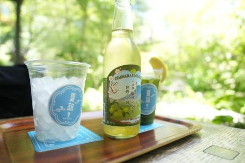 a bottle of beer and a cup on a tray at Private Rental 1 Minute Walk to the Sea 隠れ宿 波風の音 小田原の1棟貸切旅館 海まで徒歩1分 in Odawara