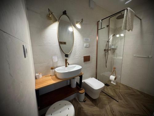 a bathroom with a sink and a toilet and a mirror at Siedlisko Na Szlaku Odry 