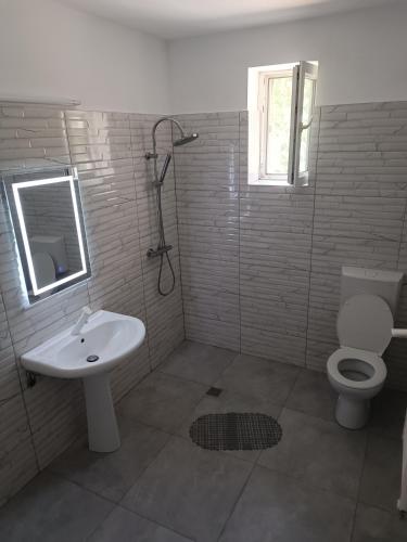 a bathroom with a sink and a toilet and a shower at Max Night Dreams in Bucharest