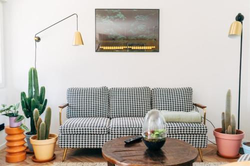 a living room with a couch and a table and cactus at Wunderschönes Chalet mit Gästehaus in der Natur mit Fass-Sauna in Sangerhausen