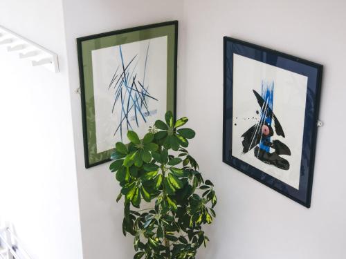 Fotografija u galeriji objekta Mountain View House u gradu Kilarni