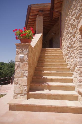 a staircase with a flower pot on the side of a building at Borgo Buciardella in Baschi