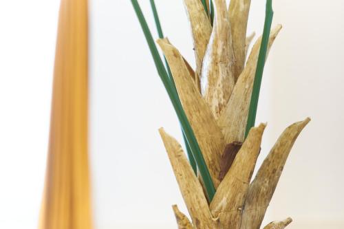 a close up of a plant in a vase at Z LAND Enoshima in Fujisawa