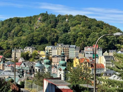 a view of a city with a mountain in the background at Luxury Gato View Apartment Karlovy Vary with private parking in Karlovy Vary