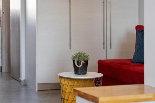a living room with a potted plant on a table at Acropolis Sandra Homes in Athens