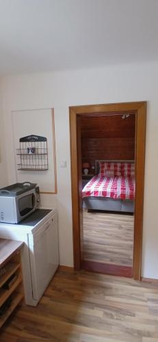 a small room with a bed and a microwave at Apartment Zwei Welten in Sachsenburg