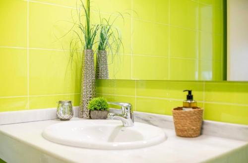 a bathroom with a sink with potted plants on it at Casa M&M in Espirdo