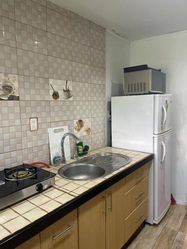 a kitchen with a sink and a white refrigerator at Hidden House Casa Escondida in Santa Rosa