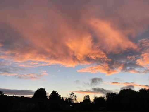 a cloudy sky at sunset with trees in the foreground at The Deli, Wilton in Wilton