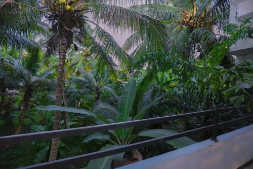 Κήπος έξω από το Tinara River Inn, Weligama