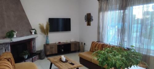 a living room with a couch and a fireplace at Ioanna's Home in Émbonas