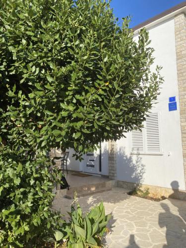 Galeriebild der Unterkunft Apartman Ivan in Vir