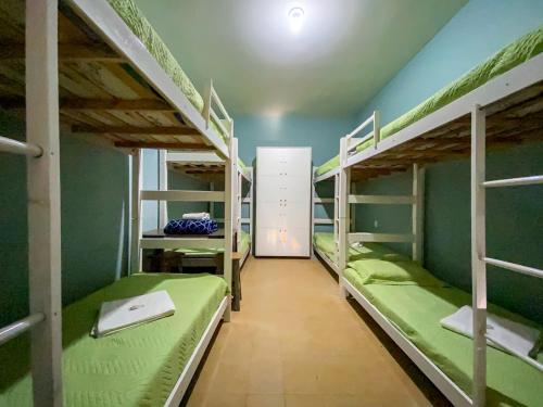 a room with four bunk beds with green walls at Maga Inn House - Centro in Blumenau