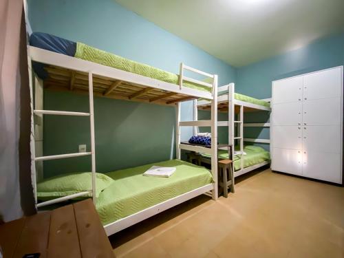 two bunk beds in a room with green walls at Maga Inn House - Centro in Blumenau