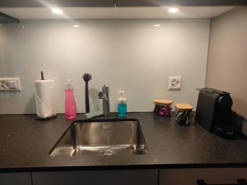 a kitchen counter with a stainless steel sink at Studio 5min Blausee / 20min Interlaken / WIFI in Kandergrund