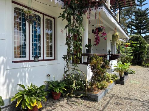 Una casa con plantas a un lado. en Homestay INN Munnar, en Anachal