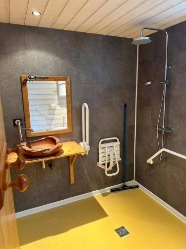 a bathroom with a toilet and a shower at Etangs du Moulin in Suzy
