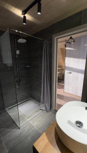 a bathroom with a shower and a white sink at Grehit House in Kozmacz