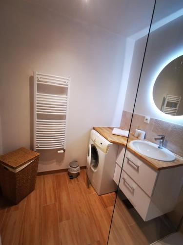 a bathroom with a sink and a washing machine at Chez Manue et Ludo centre ville in Thonon-les-Bains
