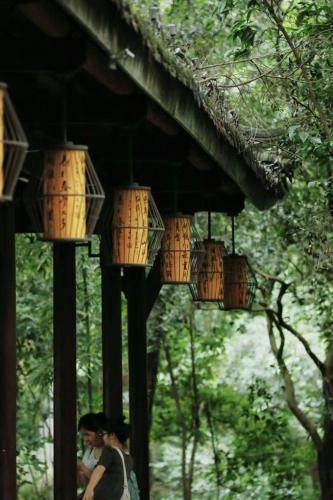 a group of wooden lanterns hanging from a roof at BuYuan Hotel - Near Wuhou Shrine, Chunxi Road,T aikooli, Tianfu Square, People's Park, Chengdu Museum, Very close to the Sichuan University , Exit C of Huaxiba on Metro Line 1,Provides Welcome refreshments ,Minibar,Laundry & Luggage delivery service in Chengdu