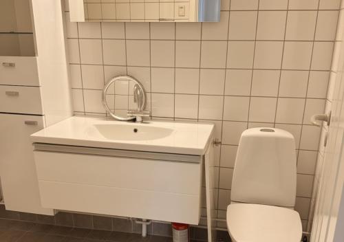 a bathroom with a sink and a toilet at Charming Apartment by Harbour 2 Min to Shops in Nuuk