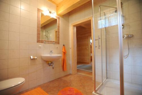 a bathroom with a shower and a sink and a toilet at Almstallhütte in Pruggern
