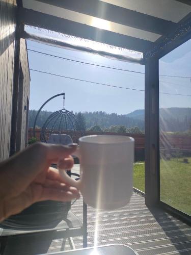 a hand holding a cup with a roller coaster in the background at Barn S&S House in Mykulychyn