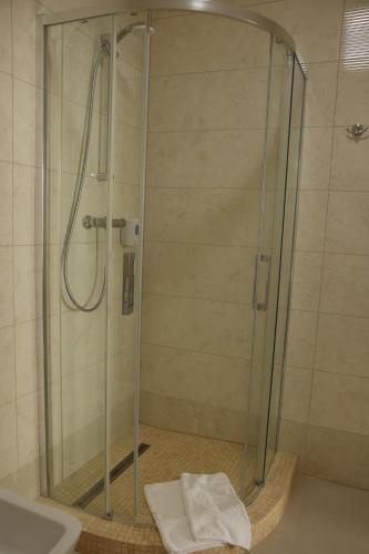 a shower with a glass door in a bathroom at Hotel France in Vinnytsya