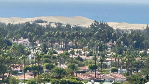 Vista Dorada