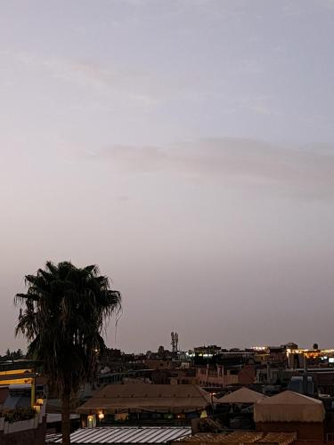a city skyline with a palm tree in the foreground at Riad Hostel ADI in Marrakech