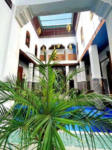a palm tree in front of a building at Riad Old City Palace in Fès