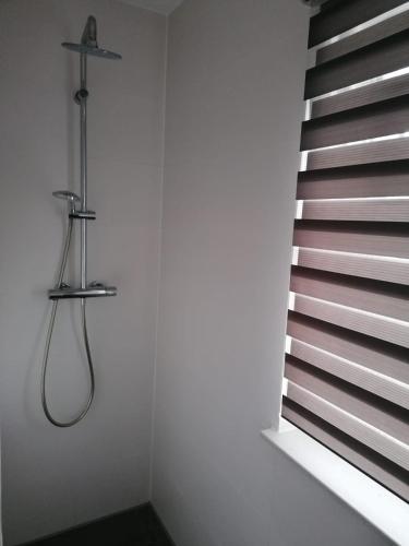 a shower in a bathroom next to a staircase at Nahe Hängebrücke in Kastellaun