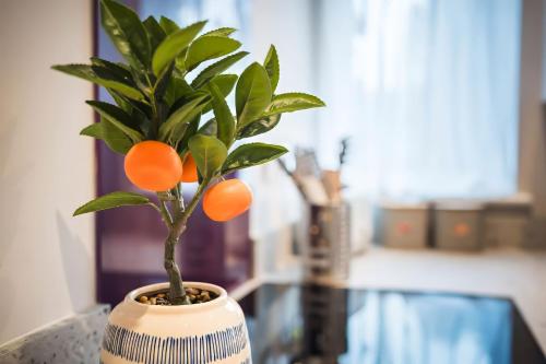 a plant in a vase sitting on a table at Cosy studio, private Japanese garden, parking in Flax Bourton