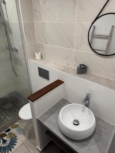 a bathroom with a sink and a toilet and a mirror at Villa Dézil in Les Anses-dʼArlets